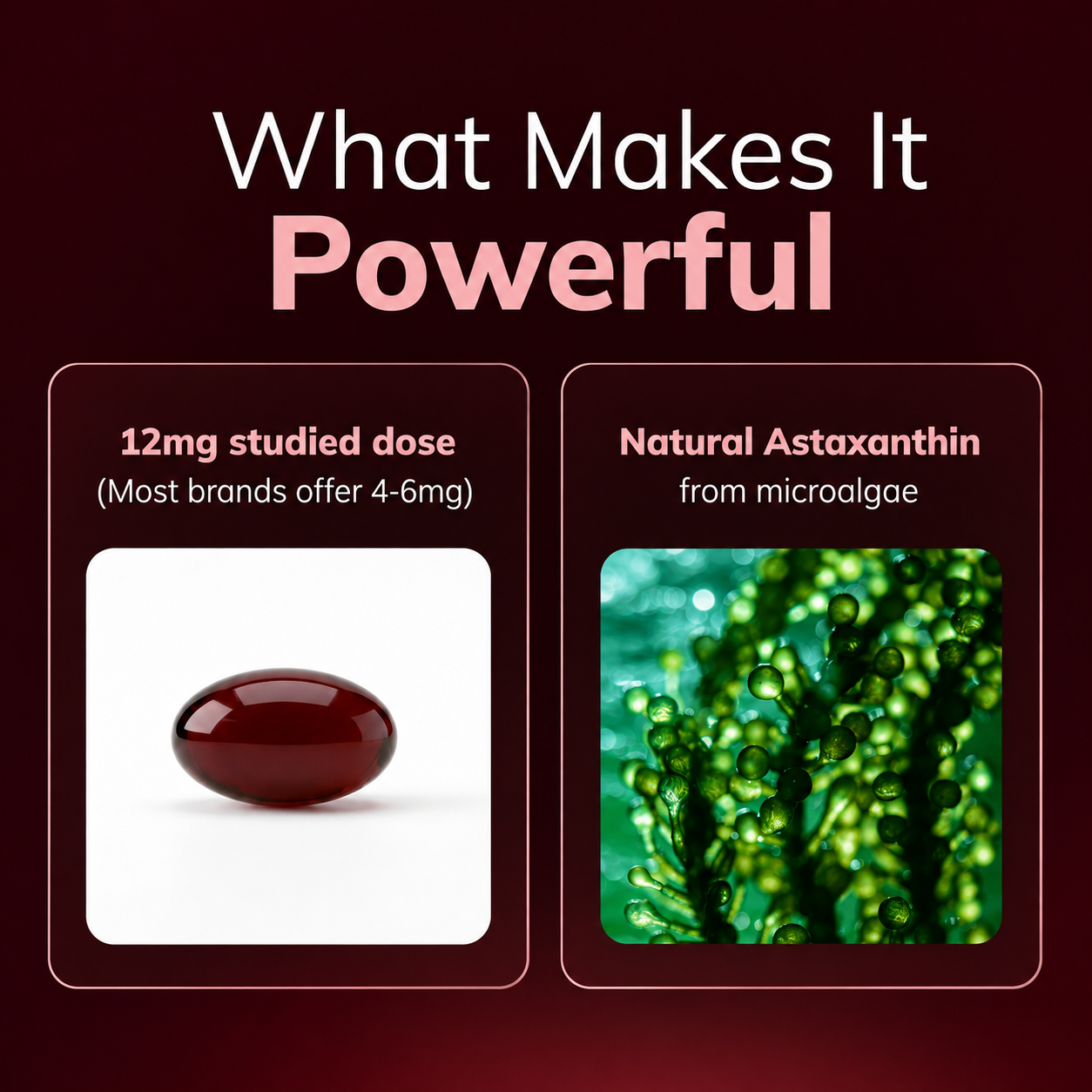 Rovina Astaxanthin - Nature’s Most Powerful Antioxidant for Whole Body Support & Cellular Protection